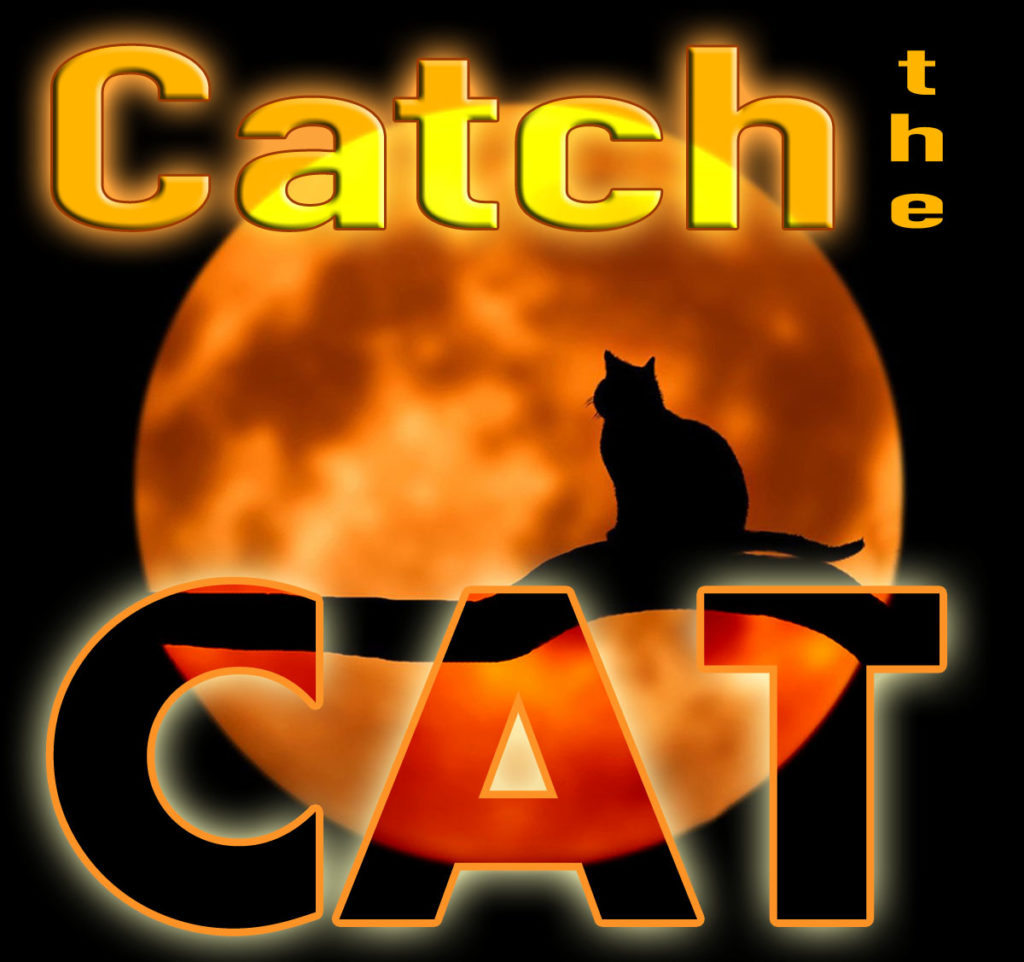 "Catch the Cat"New Song for Free!